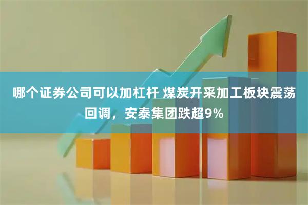 哪个证券公司可以加杠杆 煤炭开采加工板块震荡回调，安泰集团跌超9%