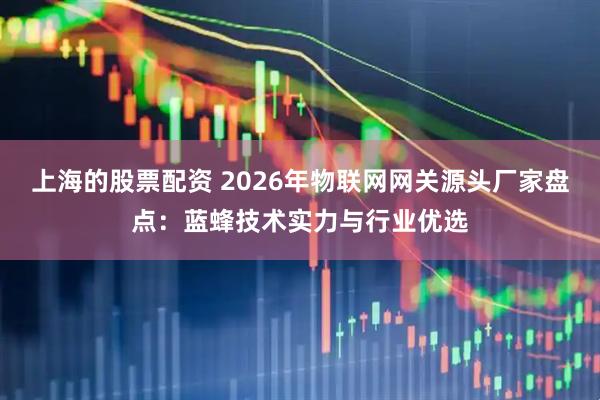 上海的股票配资 2026年物联网网关源头厂家盘点:蓝蜂技术实力与行业优选